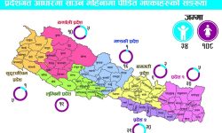 मानवअधिकार उल्लंघनका १४२ घटना, ३९ बलात्कार