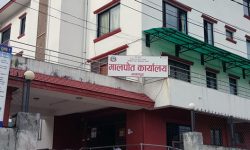 भक्तपुर मालपोतद्वारा ४५ रोपनी सरकारी जग्गा व्यक्तिको नाममा दर्ता