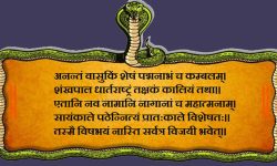 नागप्रति कृतज्ञ, यसरी गर्ने आराधना !