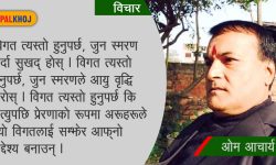 इतिहास गर्वले भन्न सक्ने हुनुपर्छ