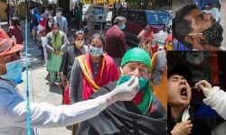 कहाँबाट आयो कोभिड-१९ ? रोकियो डब्ल्यूएचओको खोज !