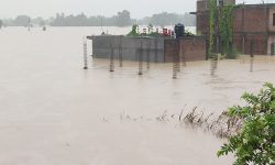 नवलपरासीमा बाढीले बगाउँदा २ जनाको मृत्यु