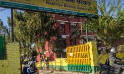 राष्ट्रिय बिमा संस्थान र कम्पनीले गराएनन् ८ वर्षदेखिको लेखापरीक्षण