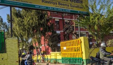 राष्ट्रिय बिमा संस्थान र कम्पनीले गराएनन् ८ वर्षदेखिको लेखापरीक्षण