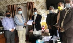 रोम विधानलाई अनुमोदन गर्न शान्ति समाजको आग्रह