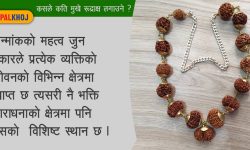 रुद्राक्ष धारण !