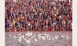 जन्म लग्नअनुसार रुद्राक्ष धारण !