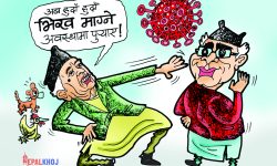 घोचपेच !