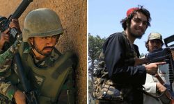 कस्तो होला तालिबानको नयाँ सरकार ?