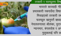 विषको असर भान्सामा !