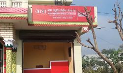 आशा लघुवित्तको नाफा १७२ प्रतिशतले बढ्यो