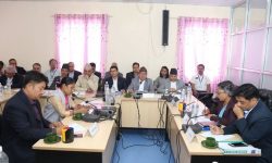 उपत्यकाको सहायक मार्गको निर्माण कार्य छिटो सम्पन्न गर्न संसदीय समितिको निर्देशन