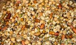 जनै र क्वाटीको व्यापार ह्वात्तै घट्यो