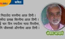 कलम एक-व्यथा अनेक !