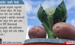 चोकमा दुम्सीदेखि आलुका मूर्ति ! (तस्बिरसहित)