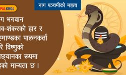 सर्पलाई किन पुज्ने ?