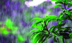 उपत्यकाका केही स्थानमा झरी, कुन-कुन क्षेत्रमा भइरहेको छ वर्षा ?