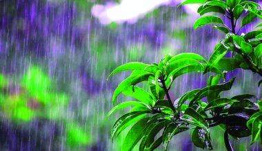 पूर्वी भागमा हावाहुरीसहित वर्षाको सम्भावना, ठूलो असर भने नदेखिने