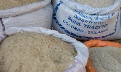 छुटको चामल अनियमितता गर्नेमाथि छानबिन गरिँदै