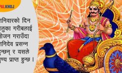 शनिदेव  पूजन विधि