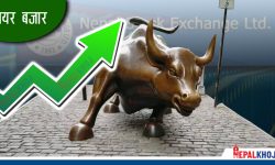 ४ दशमलव ६ अंकले नेप्से बढ्दा १० अर्ब ९८ करोडको सेयर किनबेच