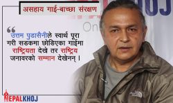 ‘अमेरिकाको बसाइ छाडेर नेपालमा किन आएको भन्नेहरु यू टर्न भए’ (भिडियो रिपोर्ट)