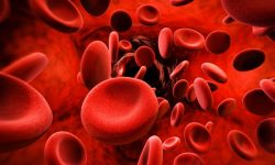 अनुवंशीय रक्तस्राव भएका व्यक्तिको गणना हुने