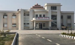 भन्सार एजेन्ट नै तस्करीमा संलग्न !