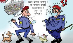 घोचपेच !