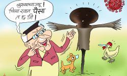 घोचपेच !