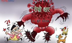 घाेचपेच !