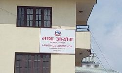 ‘अंग्रेजी प्रभावका कारण राष्ट्र भाषा कमजोर बन्यो’