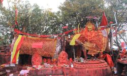 आजदेखि पाथीभरा दर्शन गर्न पाइने