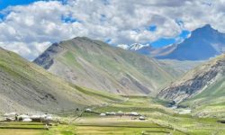 डोल्पाका किसानलाई उवा भित्र्याउन चटारो (फोटो फिचर)