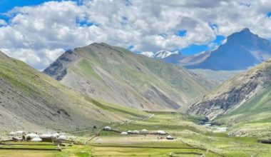 डोल्पाका किसानलाई उवा भित्र्याउन चटारो (फोटो फिचर)