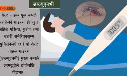 फैलिँदै ‘वेस्ट नाइल’ भाइरस ? यस्तो छ उपचारविधि !