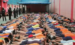 जेलमा भएको ‘ग्याङ फाइट’मा सयजनाको मृत्यु