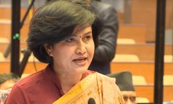 ‘प्रतिनिधि सभाको कमजोरीका कारण नकारात्मक प्रतिक्रिया उत्पन्न’