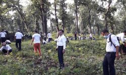 वृक्षरोपण (फोटो फिचर)