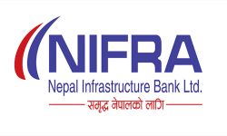 निफ्राले ८.५ प्रतिशत नगद लाभांश दिने