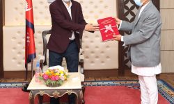 प्रधानमन्त्रीसमक्ष प्रदेशगत भाषा सिफारिस