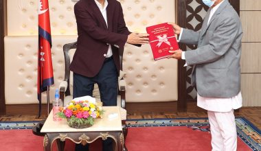 प्रधानमन्त्रीसमक्ष प्रदेशगत भाषा सिफारिस