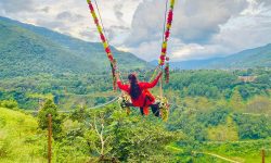 पिङमा रमाउँदै आन्तरिक पर्यटक