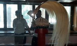 नारायणहिटी दरबार संग्रहालयको श्रीपेच चाेर्ने प्रयास