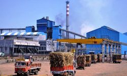 मोरङमा औद्योगिक सर्वेक्षण