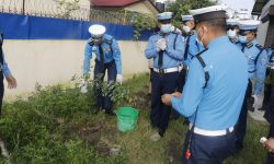 ट्राफिक प्रहरीद्वारा कुकुर तालिम केन्द्रमा वृक्षरोपण