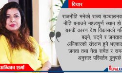 राजनीतिको गति