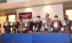 ‘बौद्धिक सम्पत्ति कानुन, समाज र आर्थिक विकास’ सार्वजनिक