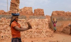 जग्गा बेचेर ऋण तिर्न बाध्य इँटा व्यवसायी