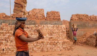 जग्गा बेचेर ऋण तिर्न बाध्य इँटा व्यवसायी